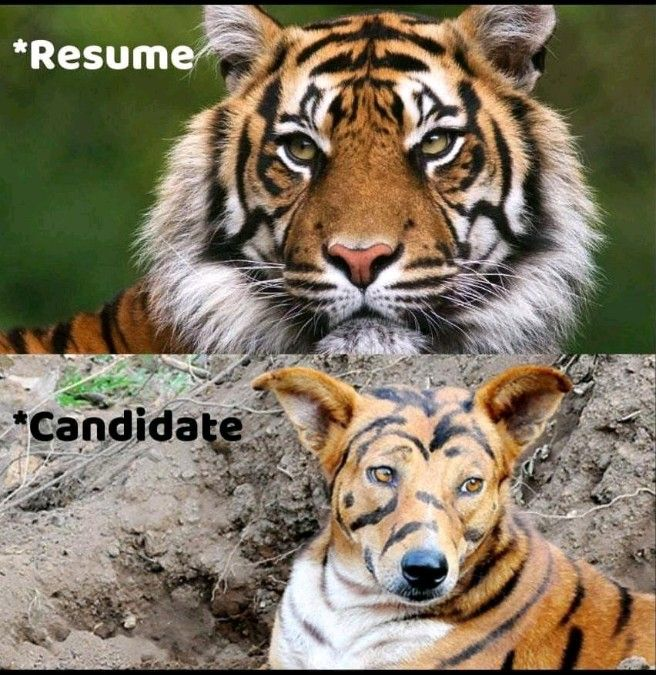 35 HR Memes To Brighten Your Day 29 image 54